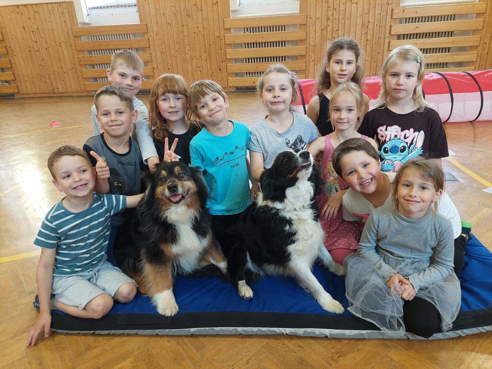 Čtyřnozí kamarády ve třídě Soviček